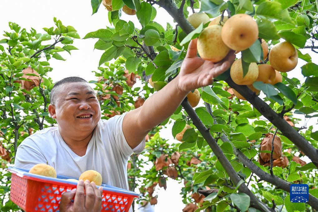 太阳城古天乐