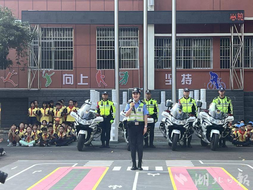 凤凰平台介绍